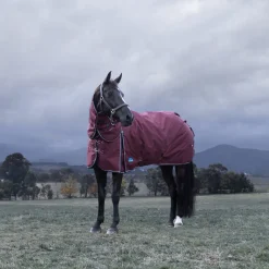 Weatherbeeta Comfitec Essential 220G Detach-A-Neck Turnout