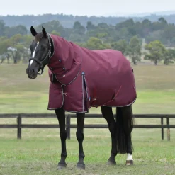 Weatherbeeta Comfitec Essential 50G Detach-A-Neck Turnout