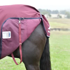Weatherbeeta Comfitec Essential 50G Detach-A-Neck Turnout