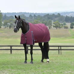 Weatherbeeta Comfitec Essential 220G Turnout