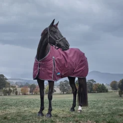 Weatherbeeta Comfitec Essential 220G Turnout