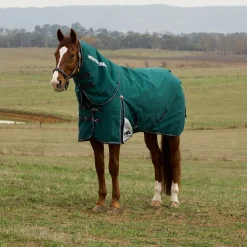 Weatherbeeta Comfitec Plus Dynamic 100G Detach-A-Neck Turnout
