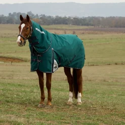 Weatherbeeta Comfitec Plus Dynamic 0G Detach-A-Neck Turnout