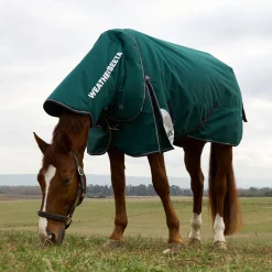 Weatherbeeta Comfitec Plus Dynamic 0G Detach-A-Neck Turnout