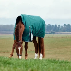 Weatherbeeta Comfitec Plus Dynamic 100G High Neck Turnout