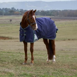 Weatherbeeta Comfitec Plus Dynamic 0G Turnout