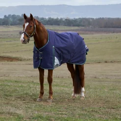 Weatherbeeta Comfitec Plus Dynamic 0G Turnout