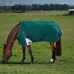 Weatherbeeta Comfitec Plus Dynamic 220G Turnout