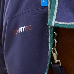 Weatherbeeta Comfitec Plus Dynamic 220G Turnout