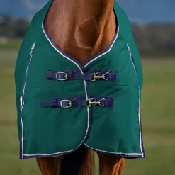 Weatherbeeta Comfitec Plus Dynamic 220G Turnout