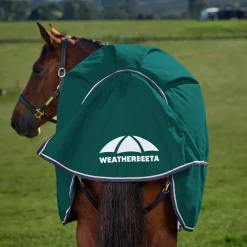 Weatherbeeta Comfitec Plus Dynamic 220G Turnout