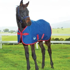 Weatherbeeta 1200D Foal Standard Neck Medium II