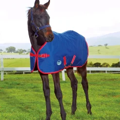 Weatherbeeta Foal Standard Neck Medium