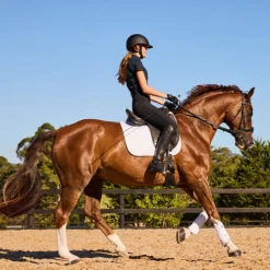 Weatherbeeta Tough-Tec Prime Brushing Boots