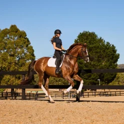 Weatherbeeta Tough-Tec Prime Brushing Boots