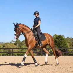 Weatherbeeta Tough-Tec Prime Brushing Boots