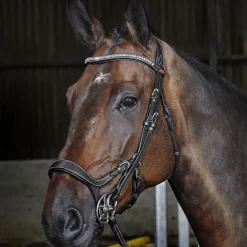 Whitaker Chicago Anatomic Bridle With Reins