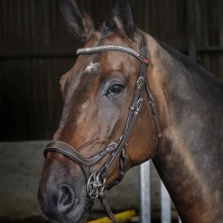Whitaker Chicago Anatomic Bridle With Reins
