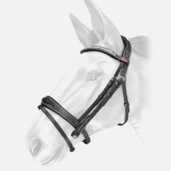 Whitaker Chicago Bling Bridle