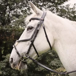 Whitaker Eastwood Mexican Bridle With Reins