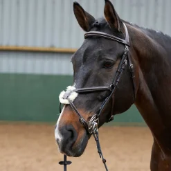 Whitaker Eastwood Mexican Bridle With Reins