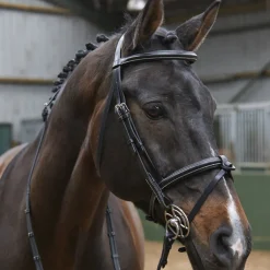 Whitaker Eastwood Raised Flash Bridle With Reins