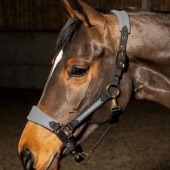 Whitaker Harewood Headcollar
