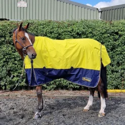 Whitaker Hornsea 0G Turnout Rug