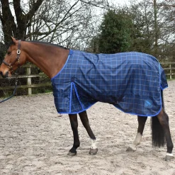 Whitaker Jacob Lightweight 0g Turnout Rug