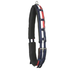 Whitaker Lunge Roller