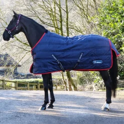 Whitaker Rastrick V2 100g Stable Rug