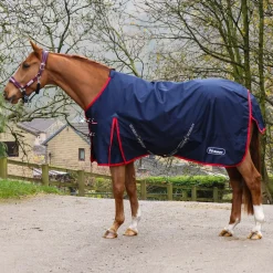 Whitaker Rastrick V2 0g Turnout Rug