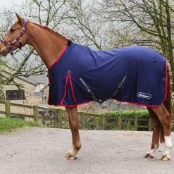Whitaker Rastrick V2 Stable Sheet
