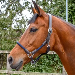 Whitaker Raywell Headcollar