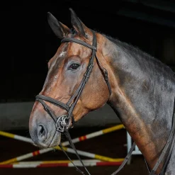 Whitaker Ready To Ride Flash Bridle
