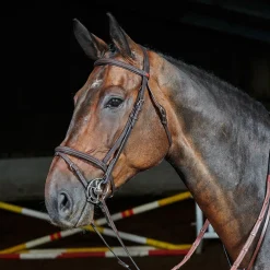 Whitaker Ready To Ride Flash Bridle