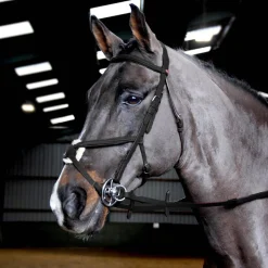 Whitaker Ready To Ride Mexican Bridle