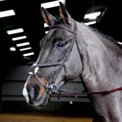 Whitaker Ready To Ride Mexican Bridle