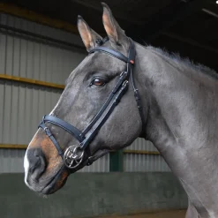 Whitaker Ready To Ride Snaffle Bridle