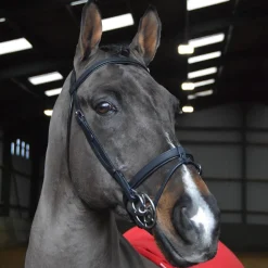 Whitaker Ready To Ride Snaffle Bridle