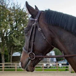 Whitaker Ready To Ride Snaffle Bridle