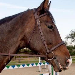 Whitaker Ready To Ride Snaffle Bridle