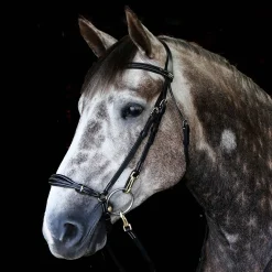 Whitaker Rome Bridle With Reins