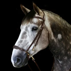 Whitaker Rome Bridle With Reins