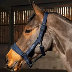 Whitaker San Francisco Headcollar