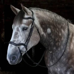 Whitaker Stockholm Anatomic Bridle