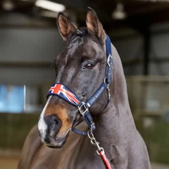 Whitaker Union Jack Padded Headcollar