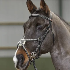 Whitaker Valencia Delux Mexican Bridle With Reins