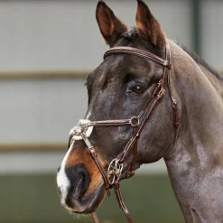 Whitaker Valencia Delux Mexican Bridle With Reins