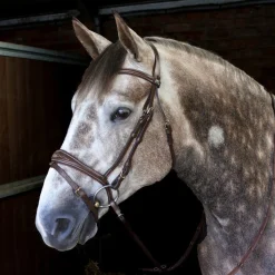 Whitaker Venice Bridle With Reins